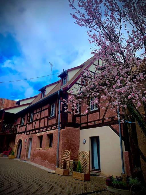 Les Vendanges Parking Prive Gites1596 * Beblenheim