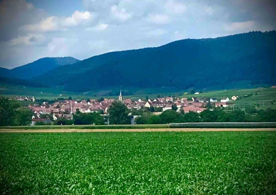 Les Vendanges Parking Prive Gites1596